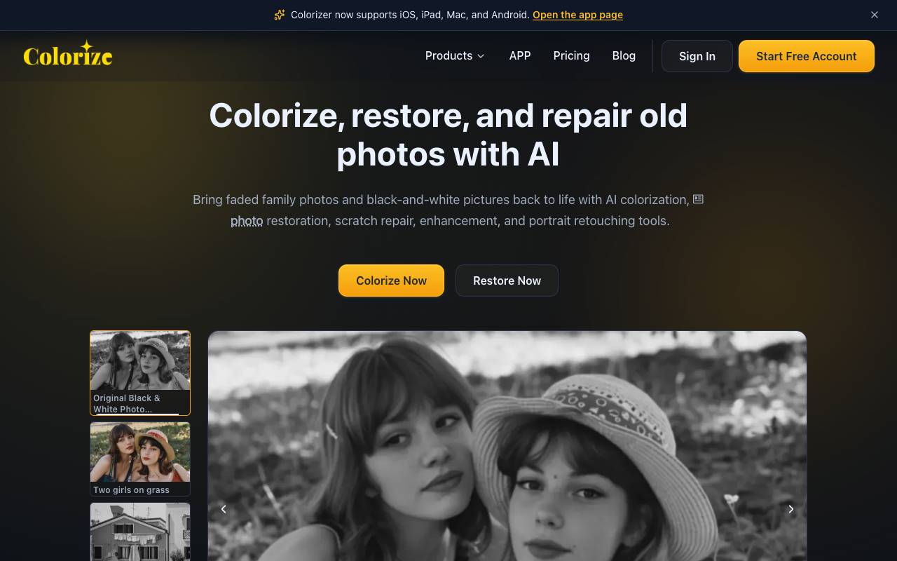 Imagecolorizer homepage